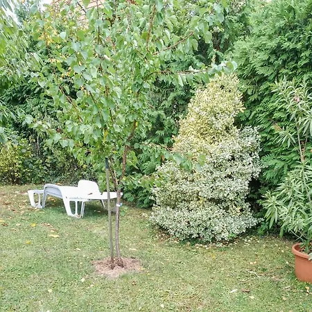 Ferienhaus Amazing In Revfulop W/ 3 Bedrooms Balatonfenyves